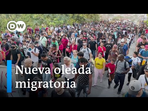 Causas Inmigrantes En Estados Unidos