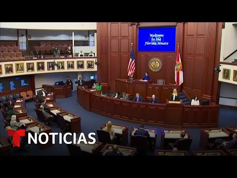 Opinion Sobre Los Inmigrantes En Estados Unidos