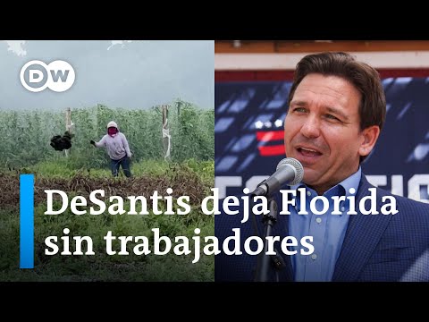 Consecuencias Para Latinoamerica Por Los Inmigrantes En Estados Unidos