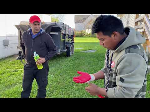 Cuanto Vive Un Inmigrante En Estados Unidos