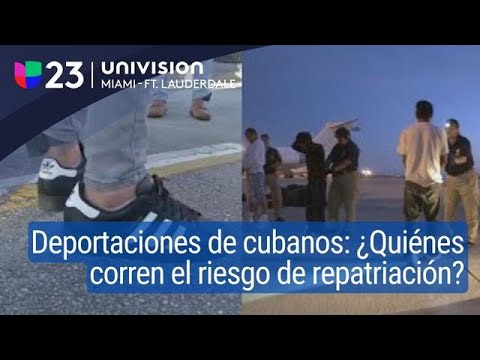 Tasa De Inmigrantes En Estados Unidos 2017