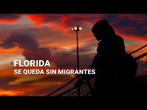 Un Dia Sin Inmigrantes En Estados Unidos