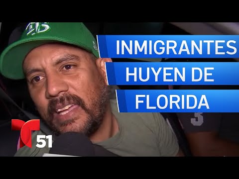 Director Inmigración Estados Unidos