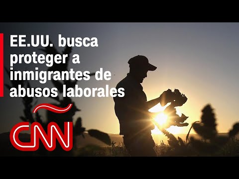 Abuso Hacia Los Inmigrantes Estados Unidos