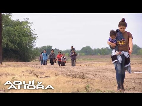 Porcentaje De Inmigrantes En Estados Unidos 2018