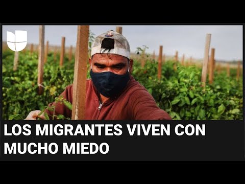 Relevancia Dela Noticia Sobre Inmigrantes Indocumentados En Estados Unidos
